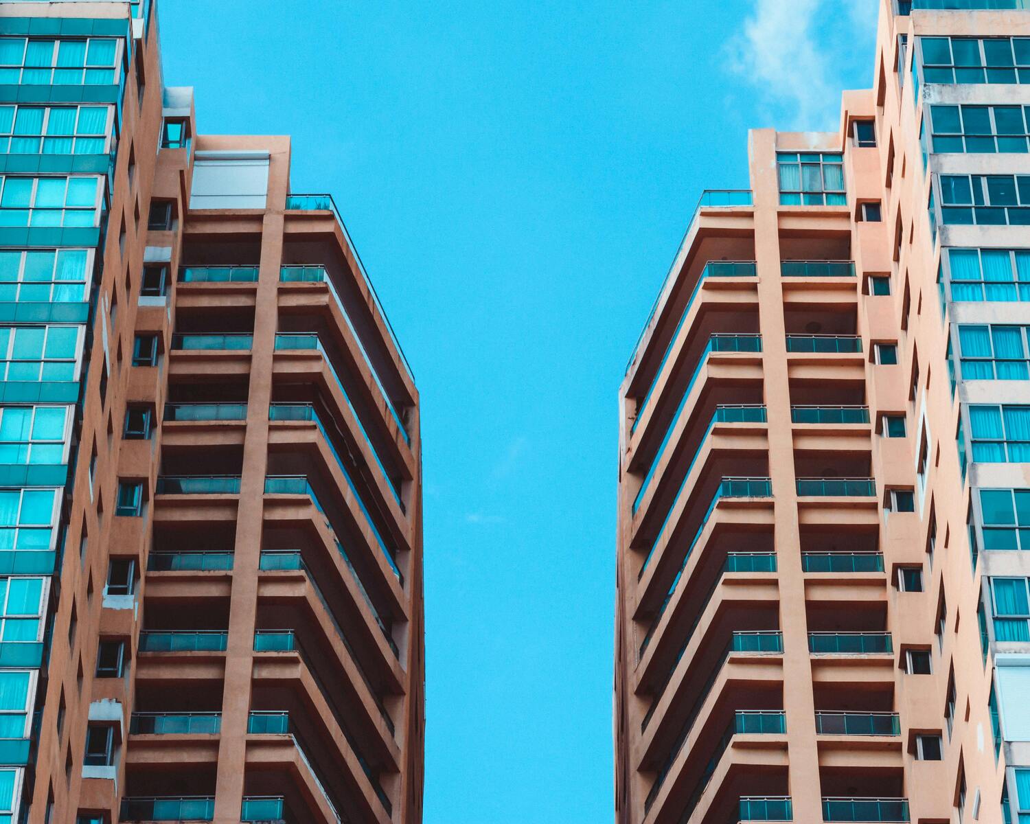 pexels foteros 783745 1
